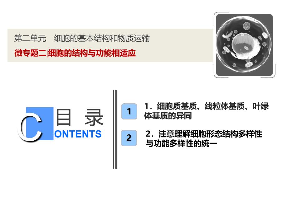 专题细胞的结构与功能相适应_第1页
