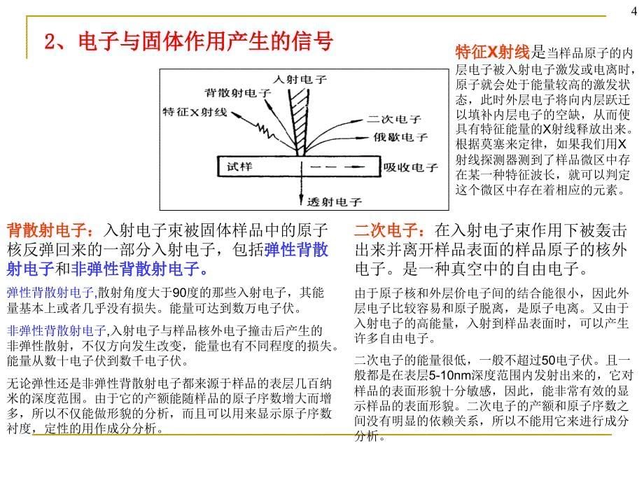 《扫描电镜原理》PPT课件.ppt_第5页