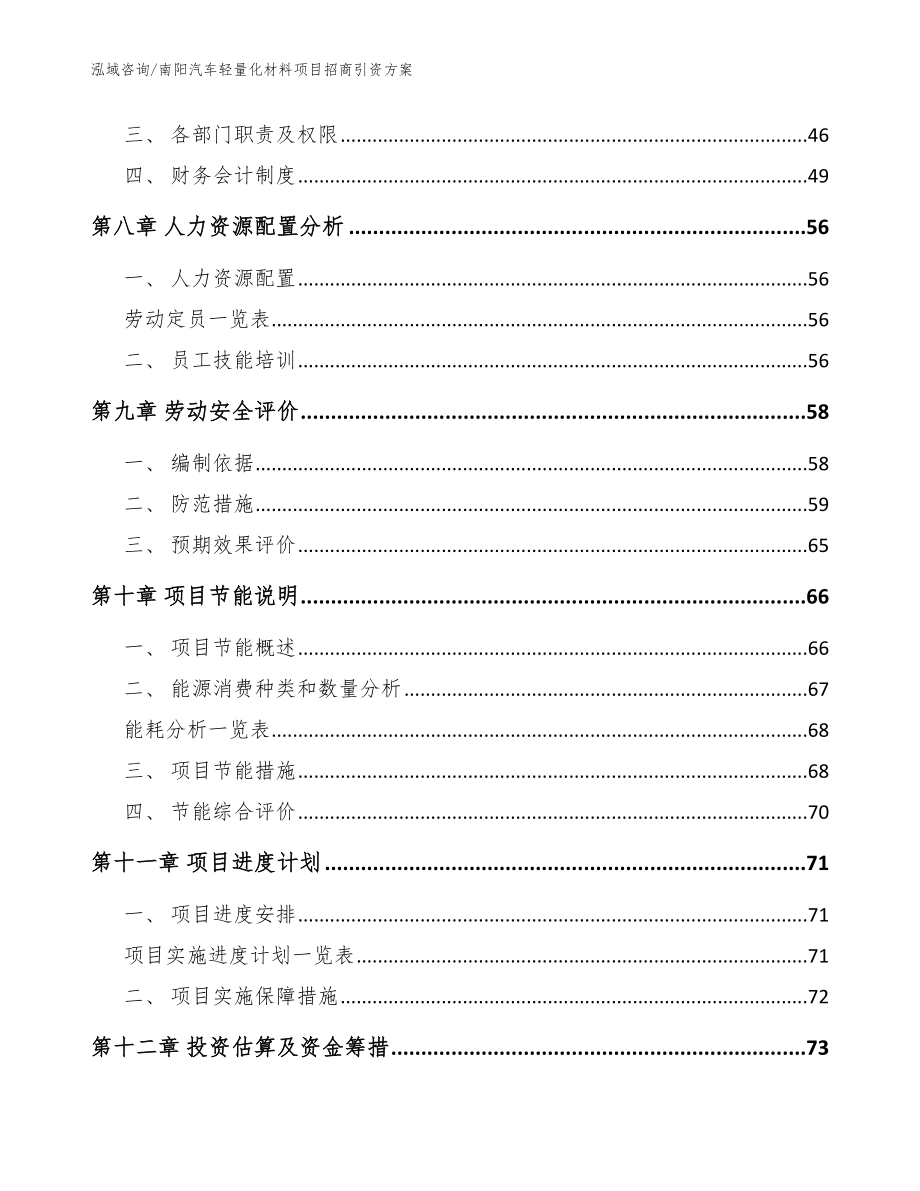 南阳汽车轻量化材料项目招商引资方案（模板范本）_第3页