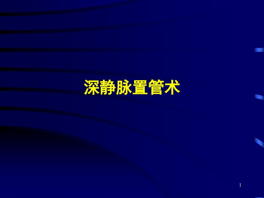 深静脉置管文档资料_第1页