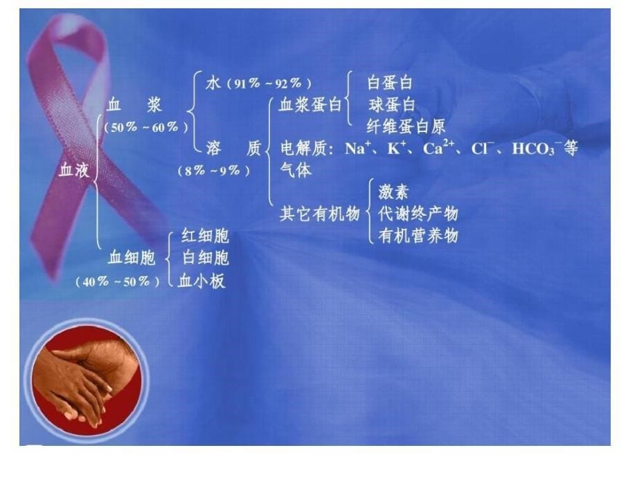 血液成分的制备和保存_第5页