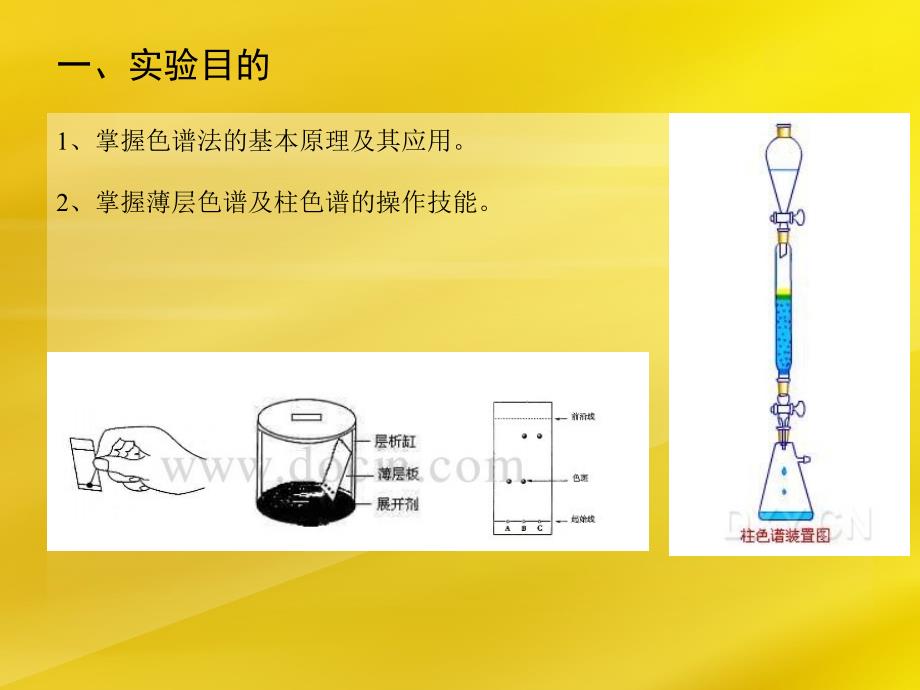 薄层色谱及柱色谱ppt课件_第2页