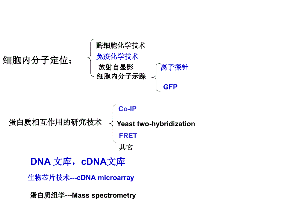 细胞生物学：第三章 细胞生物学的研究方法_第3页