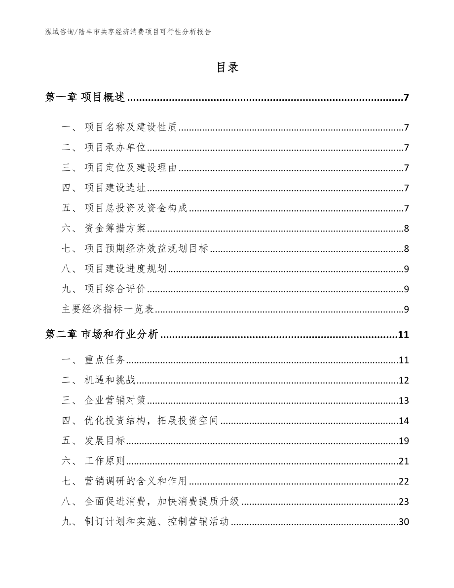 陆丰市共享经济消费项目可行性分析报告【范文模板】_第2页