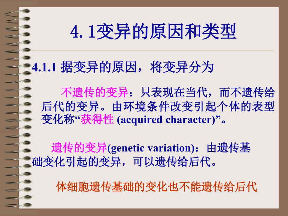 教学课件第四章遗传信息的改变_第3页