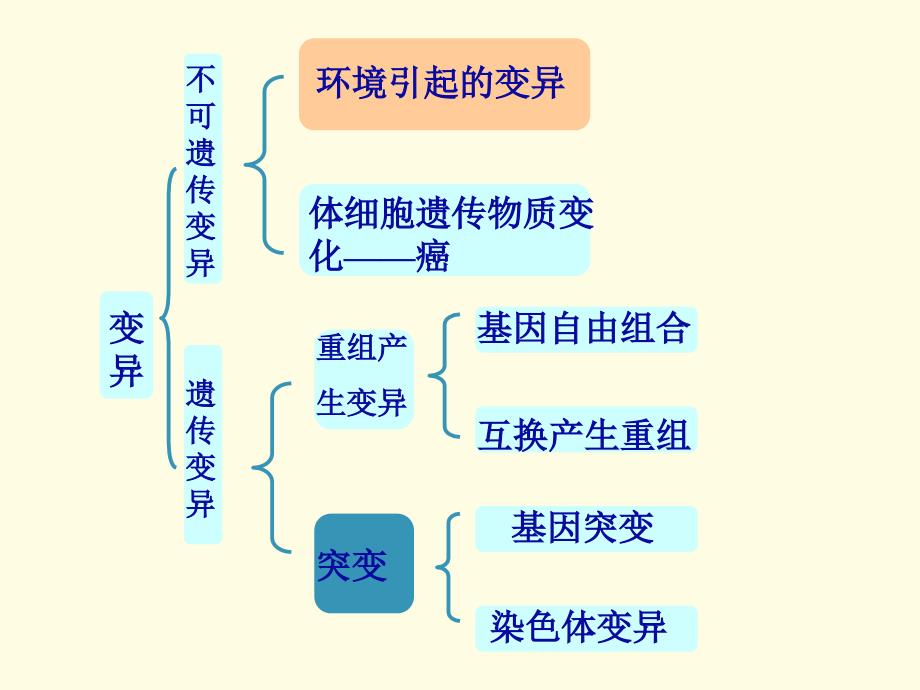 教学课件第四章遗传信息的改变_第4页