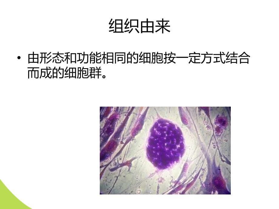 工会干部跨部门沟通技巧_第5页