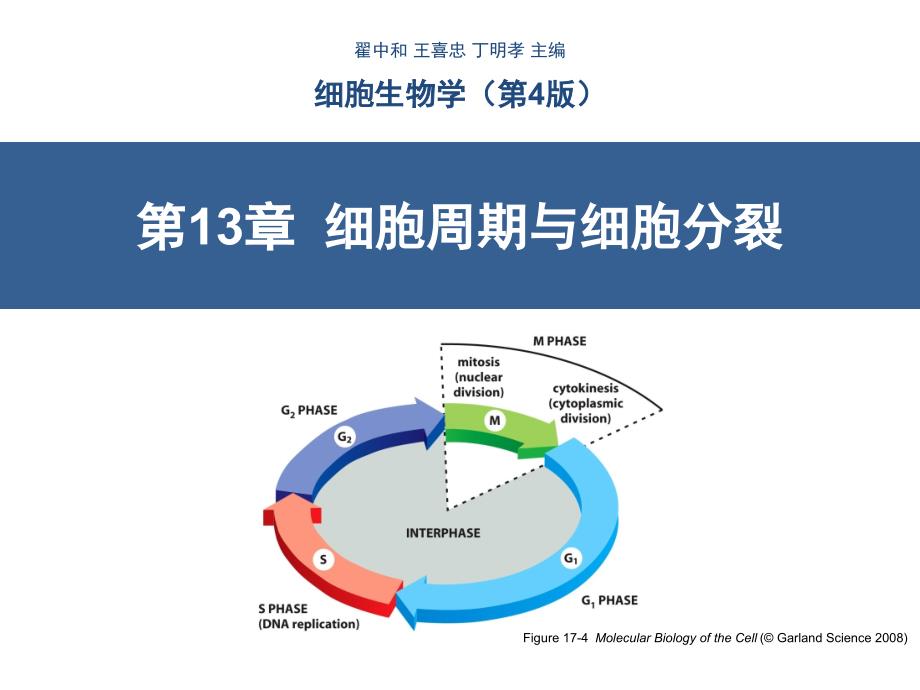 第13章-细胞周期与细胞分裂翟中和第四版_第1页