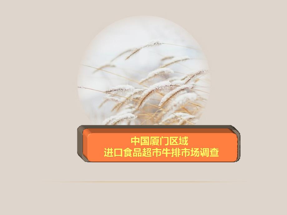 中国厦门区域进口超市牛排_第1页