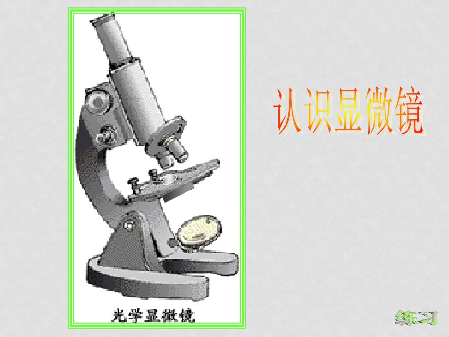 七年级生物第一节使用显微镜课件苏教版_第3页