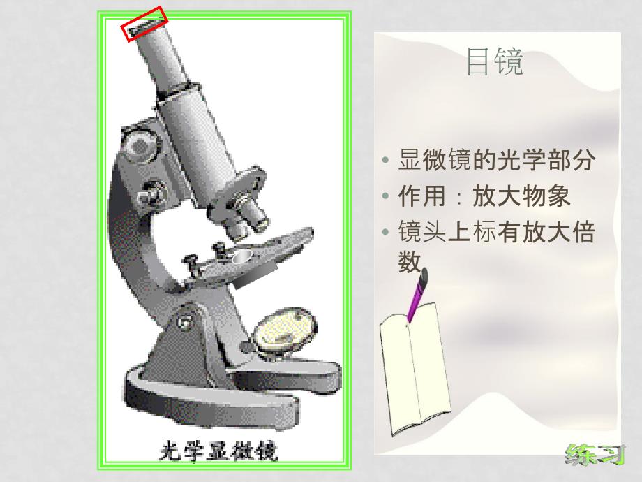 七年级生物第一节使用显微镜课件苏教版_第4页