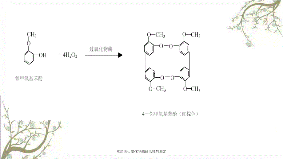 实验五过氧化物酶酶活性的测定_第5页