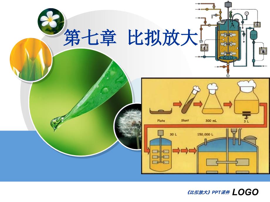 比拟放大课件_第1页