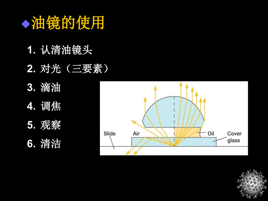 医学微生物学1_第4页