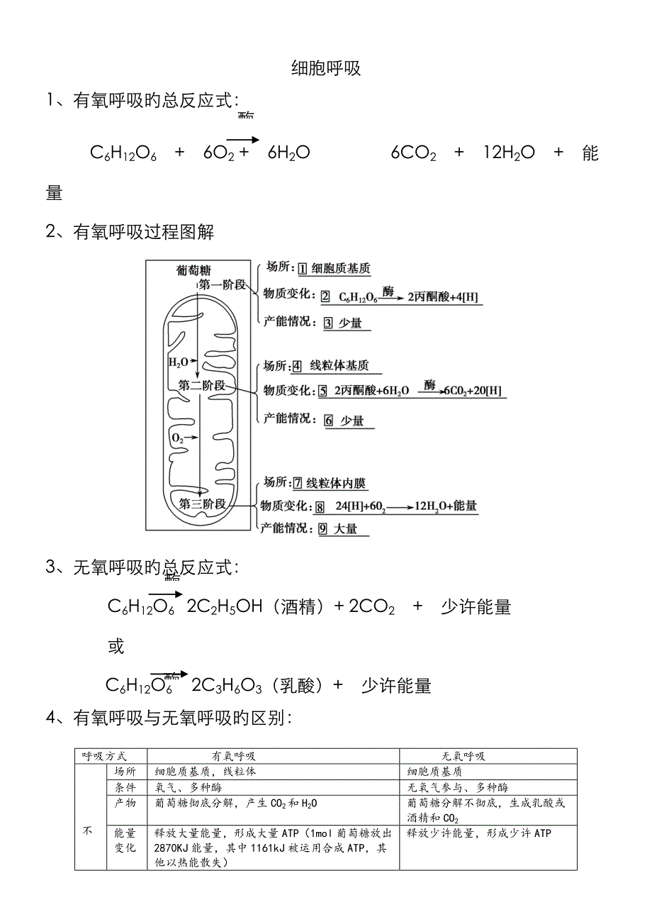 细胞呼吸专题复习_第1页