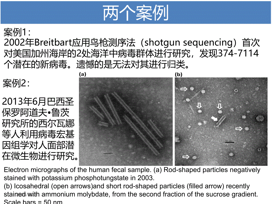 病毒宏基因组学_第4页