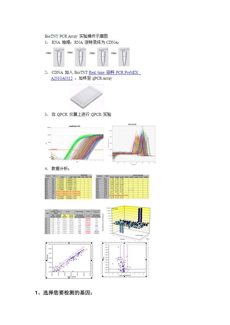 Q-PCR Array服务介绍_第3页