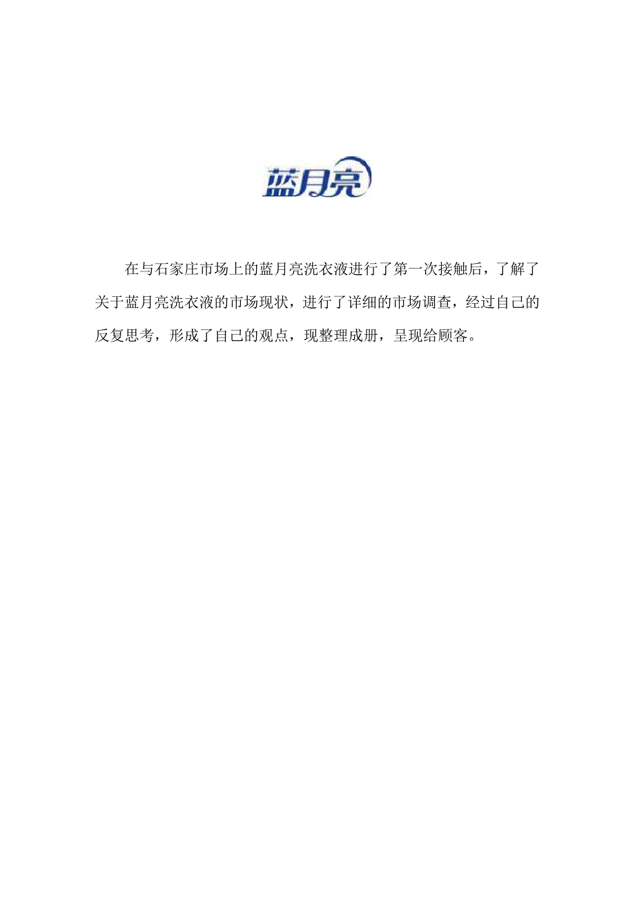 蓝月亮洗衣液营销策划案_第3页