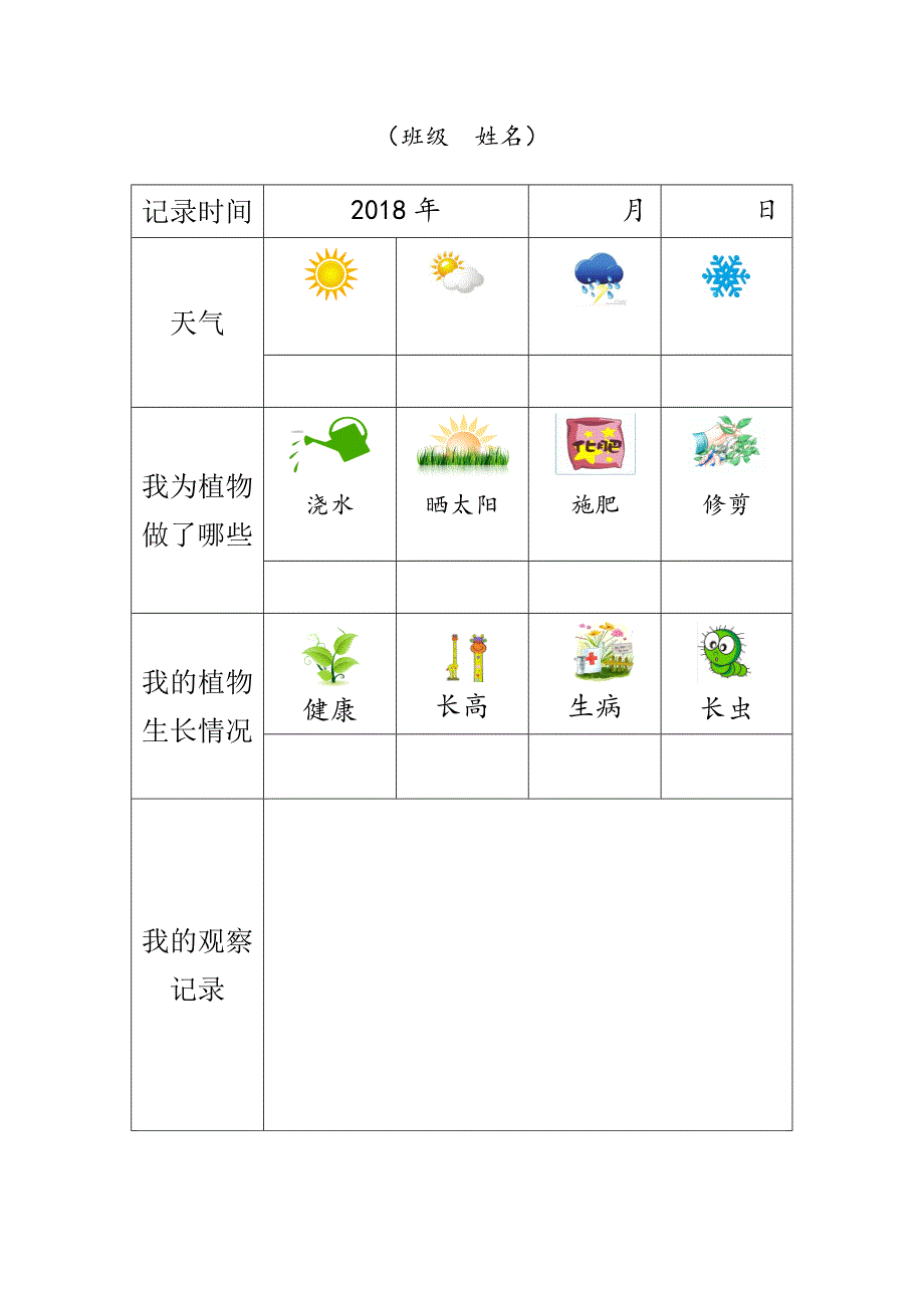 幼儿园植物观察记录表_第3页