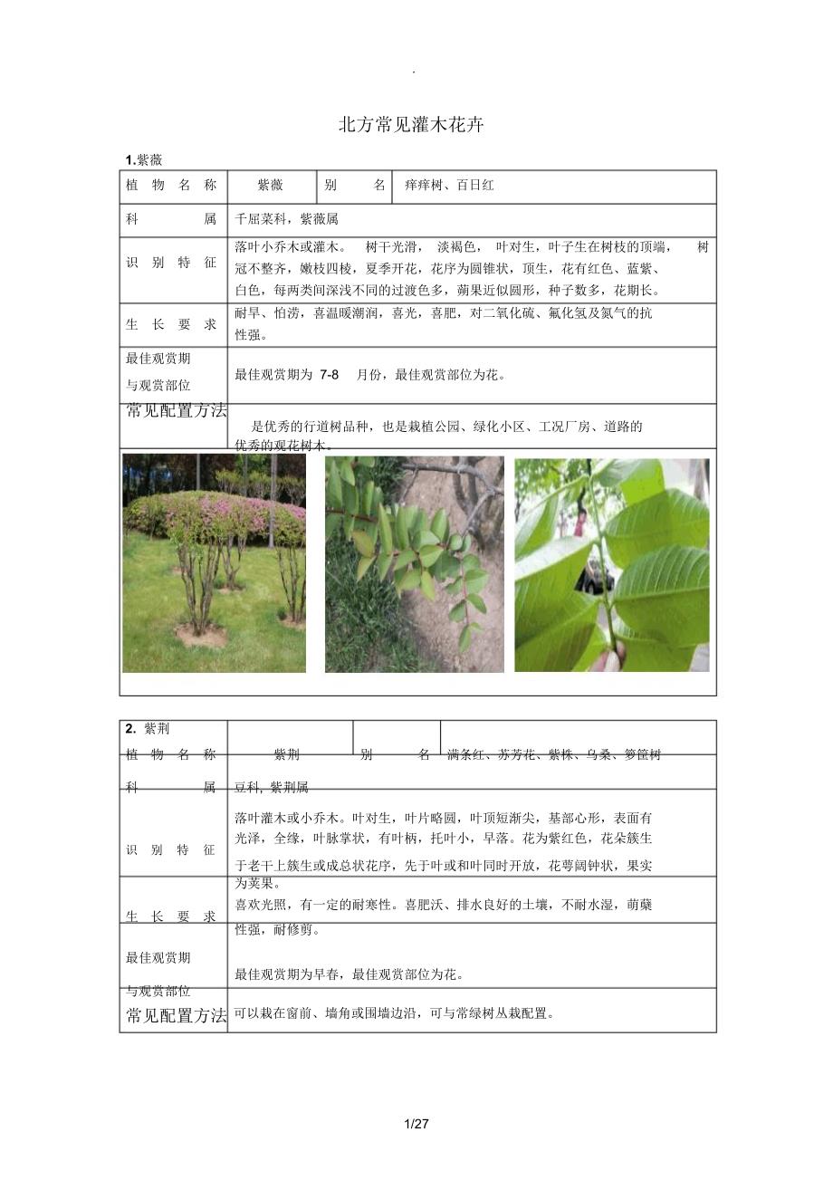北方常见灌木_第1页