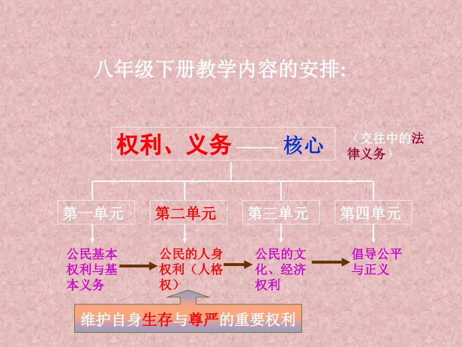 八年级政治下册第四单元关注我们的人身权利课件湘教版_第4页