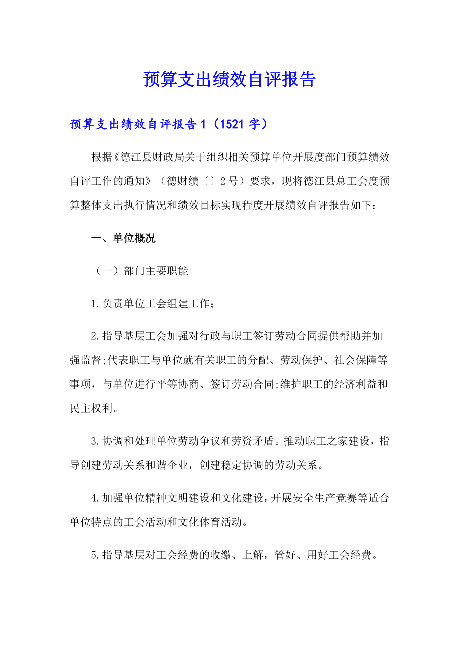 预算支出绩效自评报告_第1页