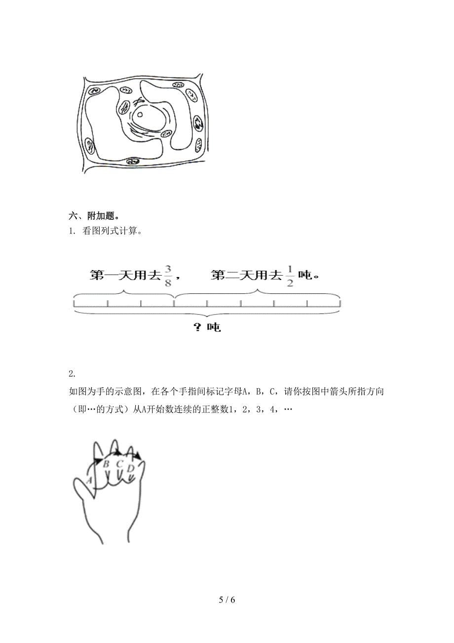 六年级数学上学期期末考试表北京版_第5页