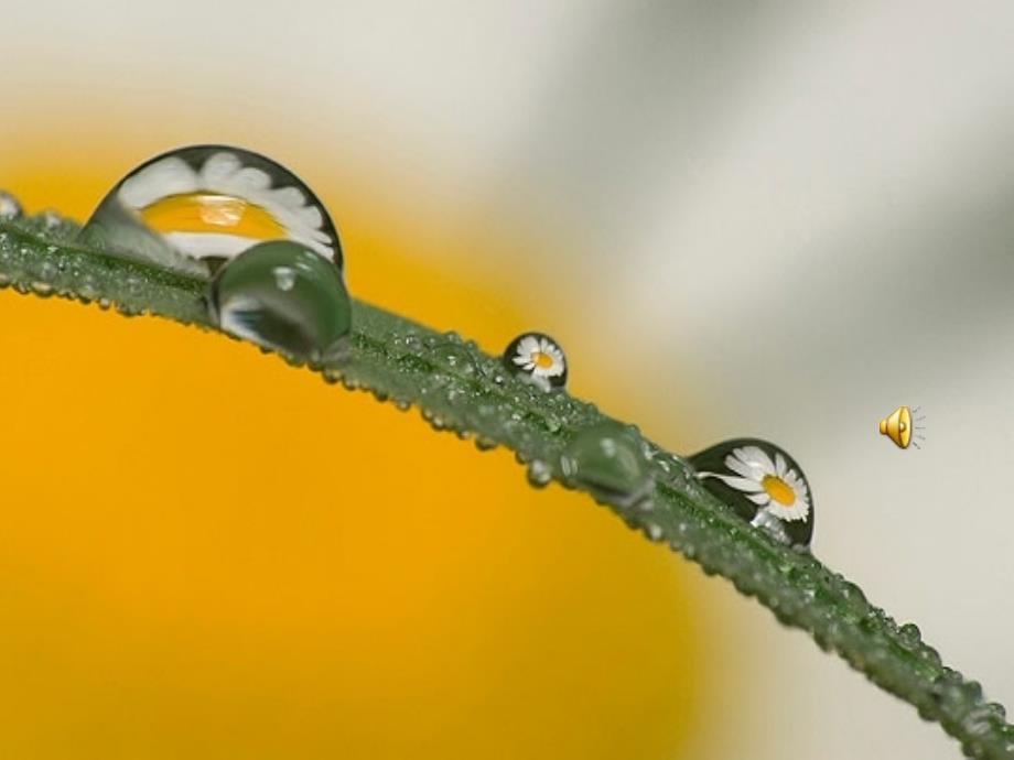 人教版小学语文二年级《雷雨》PPT课件_第2页