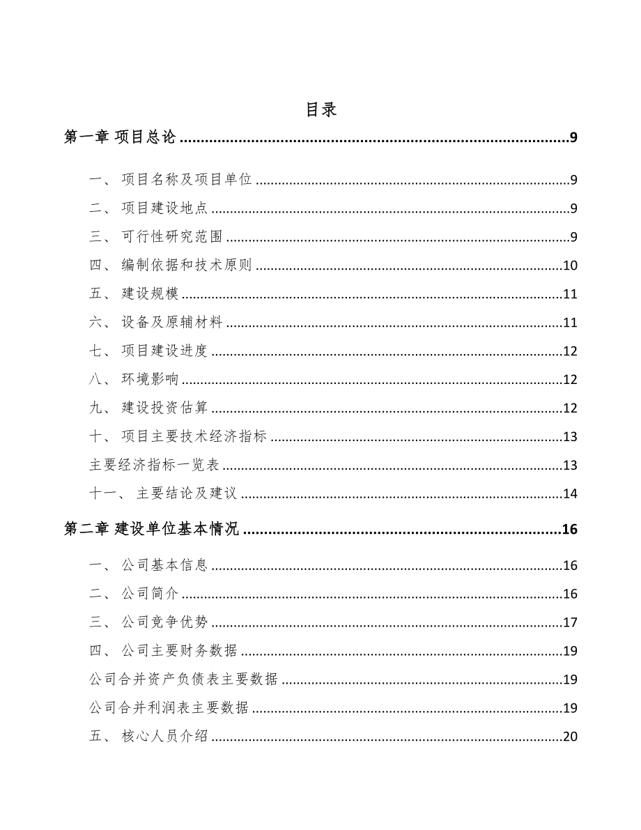 某某氯化铝项目研究报告范文模板(DOC 90页)_第2页