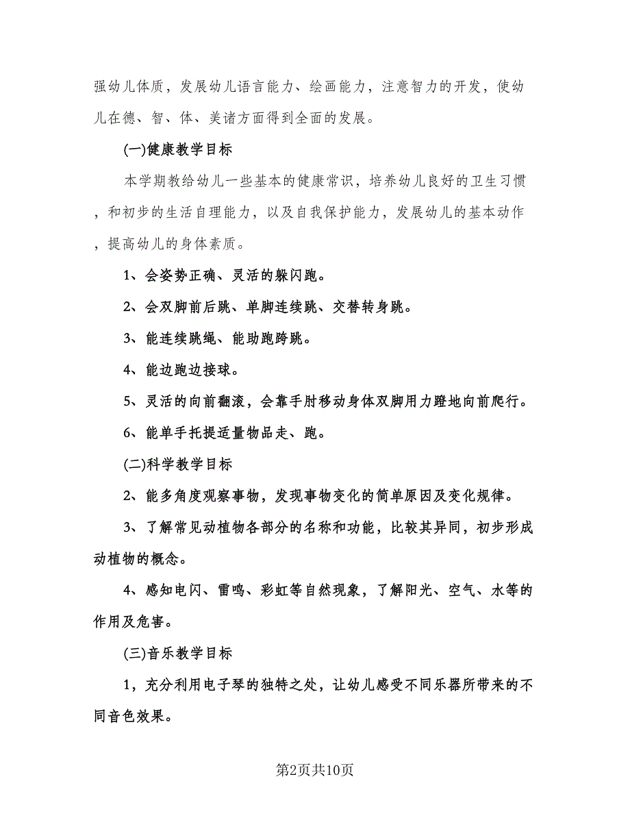 幼儿园大班班级教学工作计划（3篇）.doc_第2页