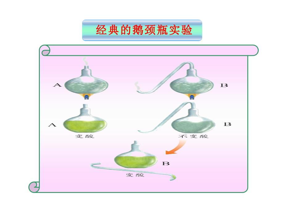 1.2.7生物的生活环境课件济南版七年级上共15张PPT_第4页