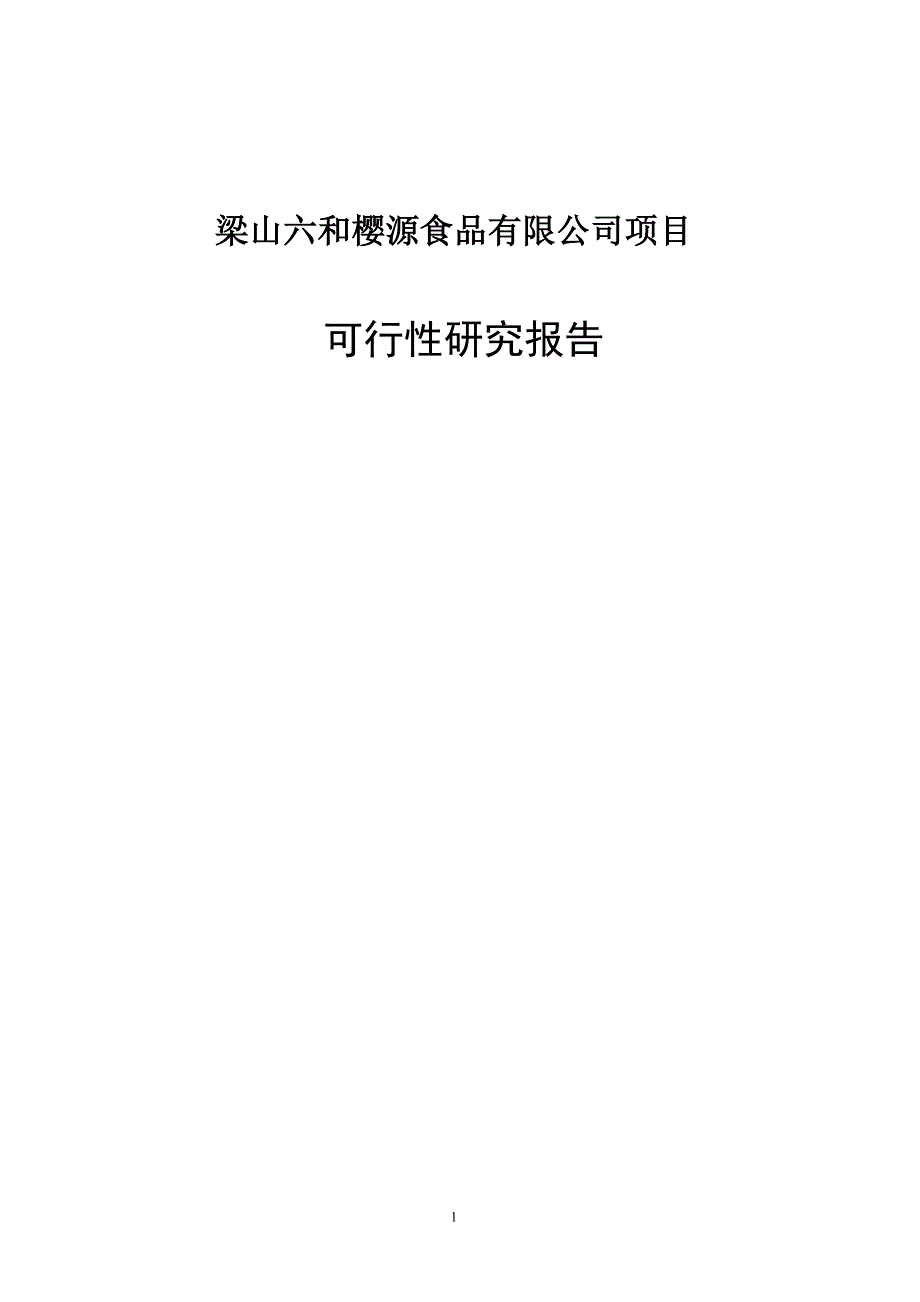 梁山六和樱源食品有限公司项目可行性策划书.doc_第1页