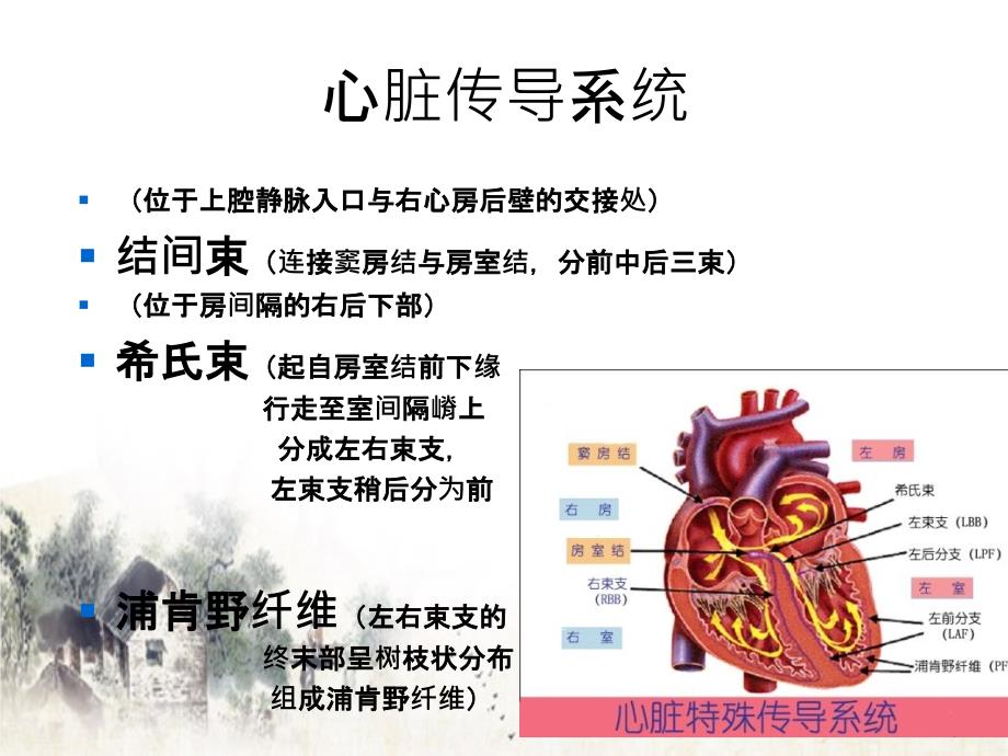 心脏传导阻滞及麻醉处理_第2页