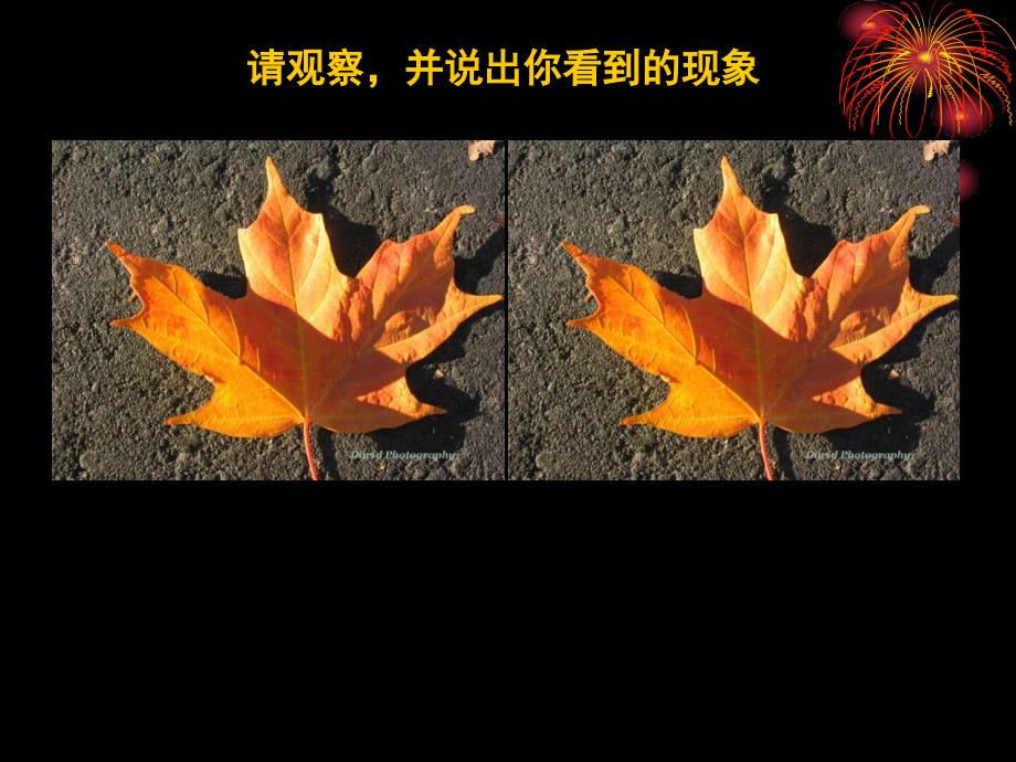 第一节1211全等三角形_第1页