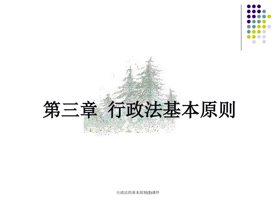 行政法的基本原则5课件_第1页