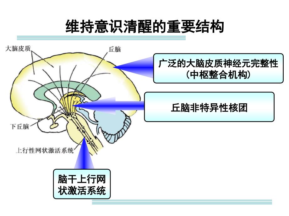 意识障碍的概念及诊疗思路剖析课件_第2页