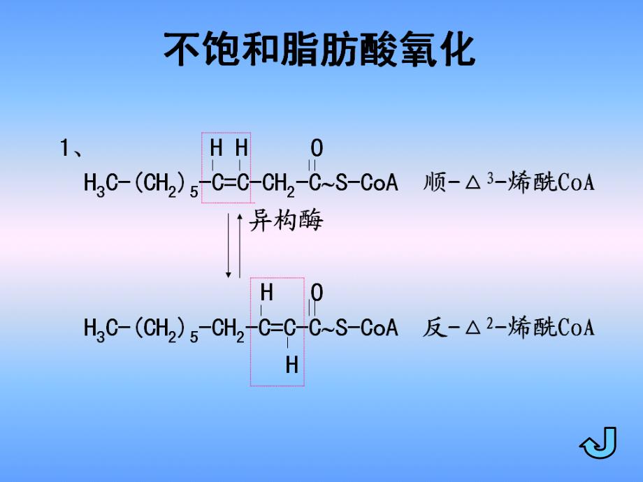 不饱和脂肪酸代谢ppt课件_第2页