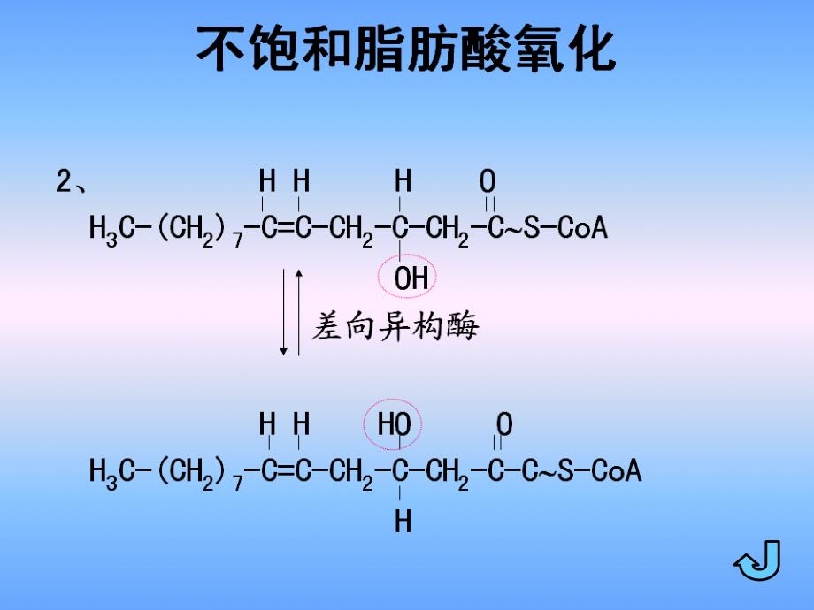 不饱和脂肪酸代谢ppt课件_第3页