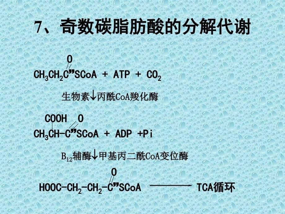 不饱和脂肪酸代谢ppt课件_第5页