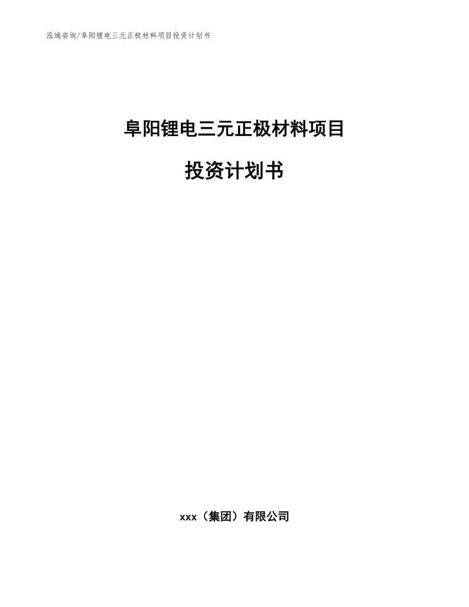 阜阳锂电三元正极材料项目投资计划书【参考范文】_第1页