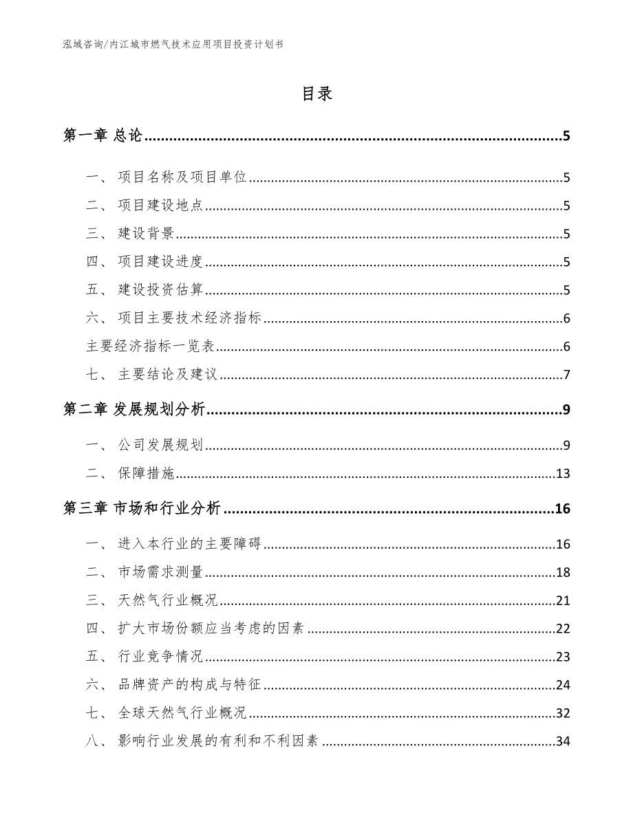 内江城市燃气技术应用项目投资计划书【模板参考】_第1页