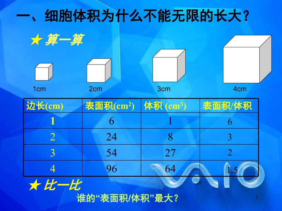 细胞的分裂课件_第3页