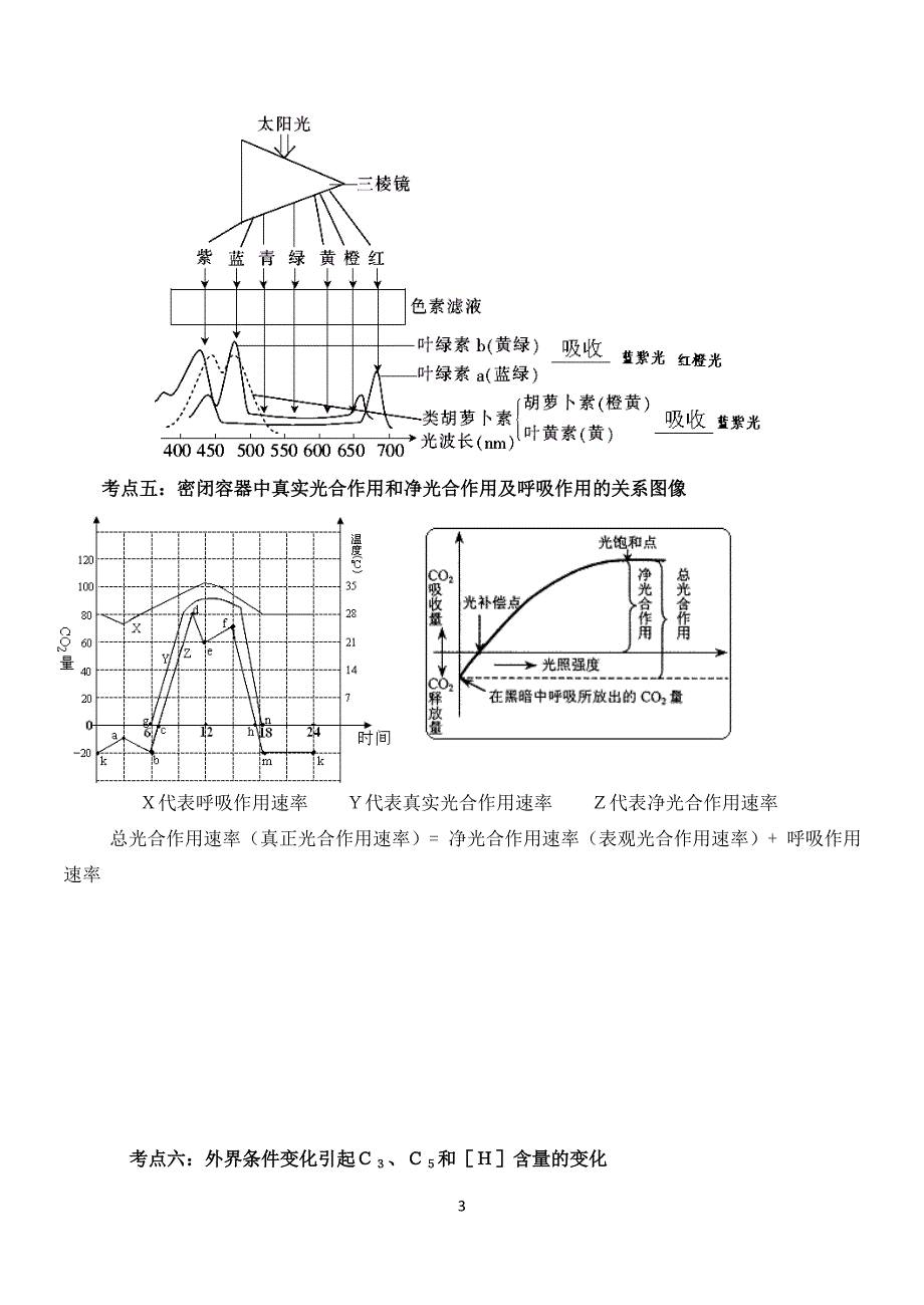 光合作用呼吸作用_第3页