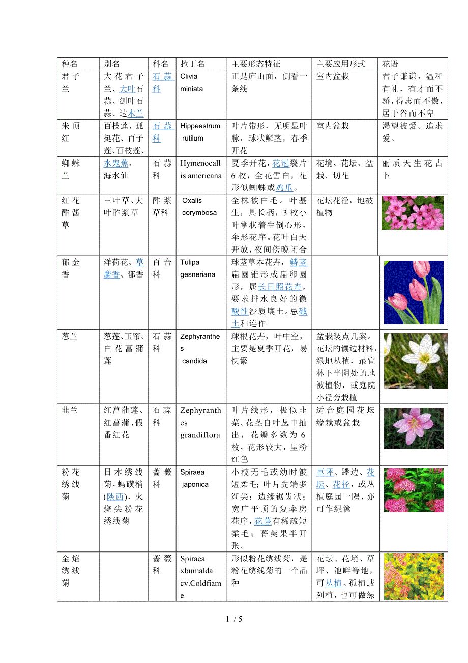 花卉3Word参考_第1页