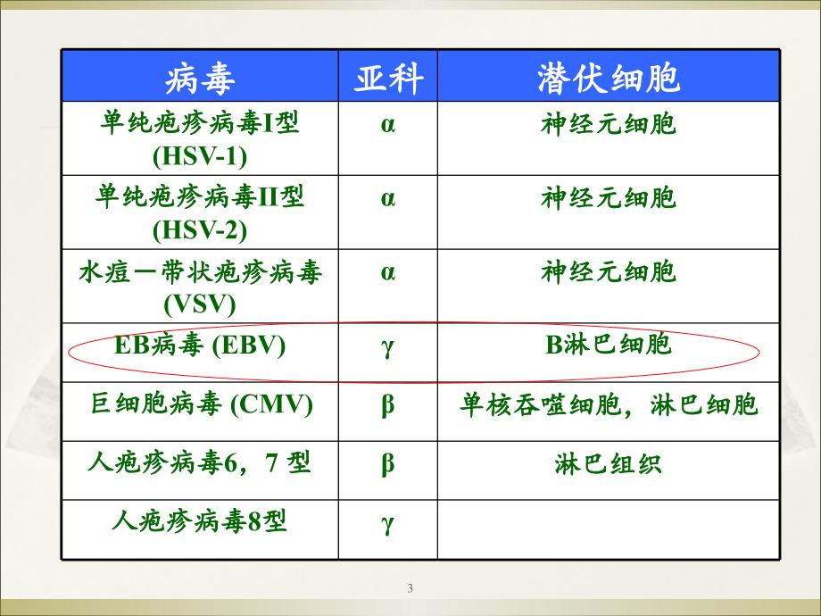 （医学课件）EBV病毒讲课_第3页