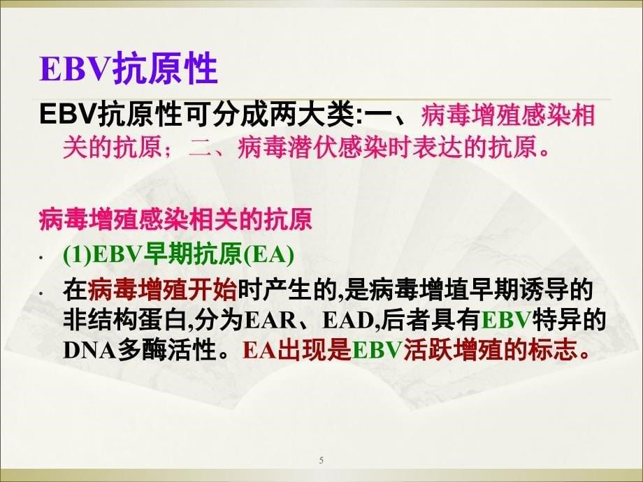 （医学课件）EBV病毒讲课_第5页