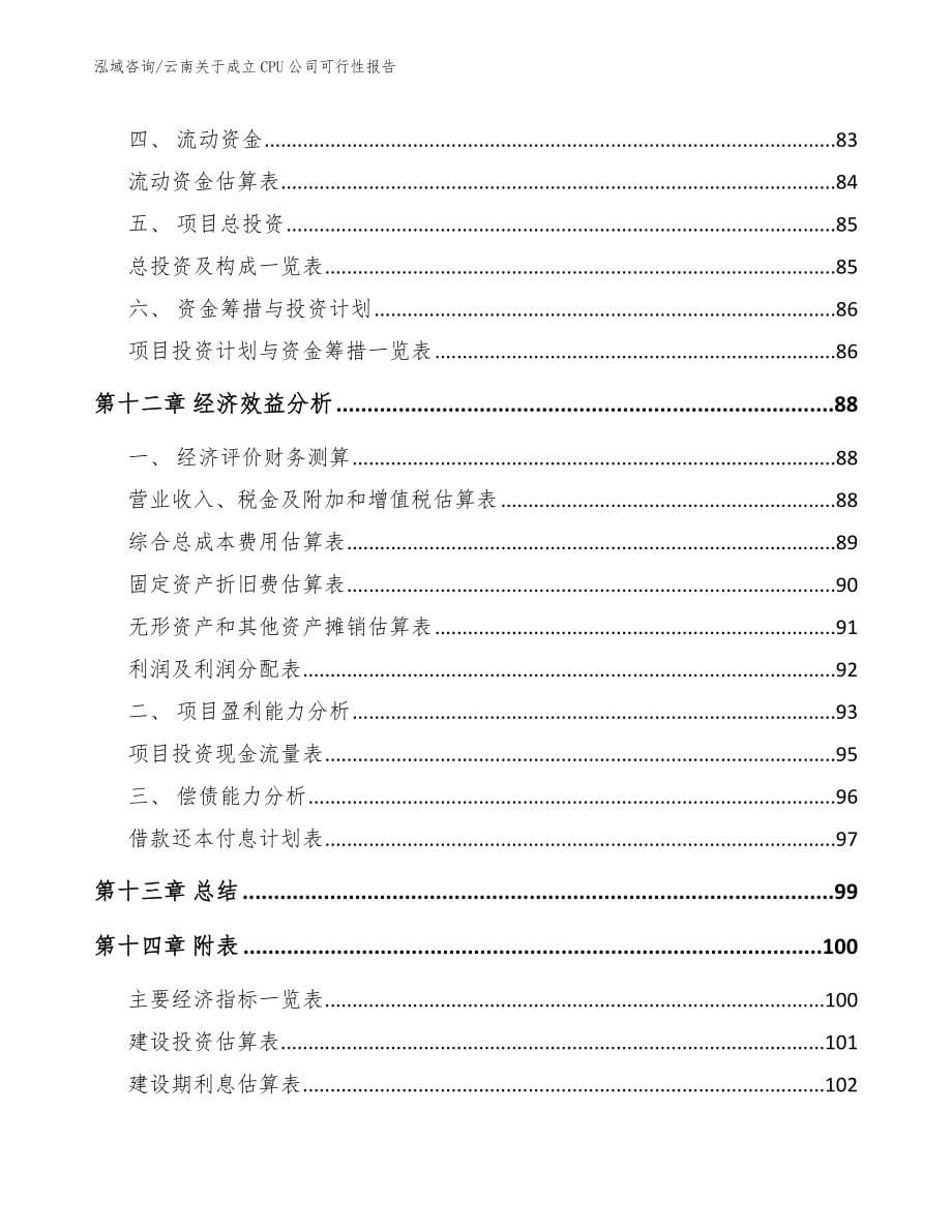 云南关于成立CPU公司可行性报告_第5页