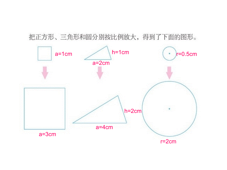 面积的变化_第3页