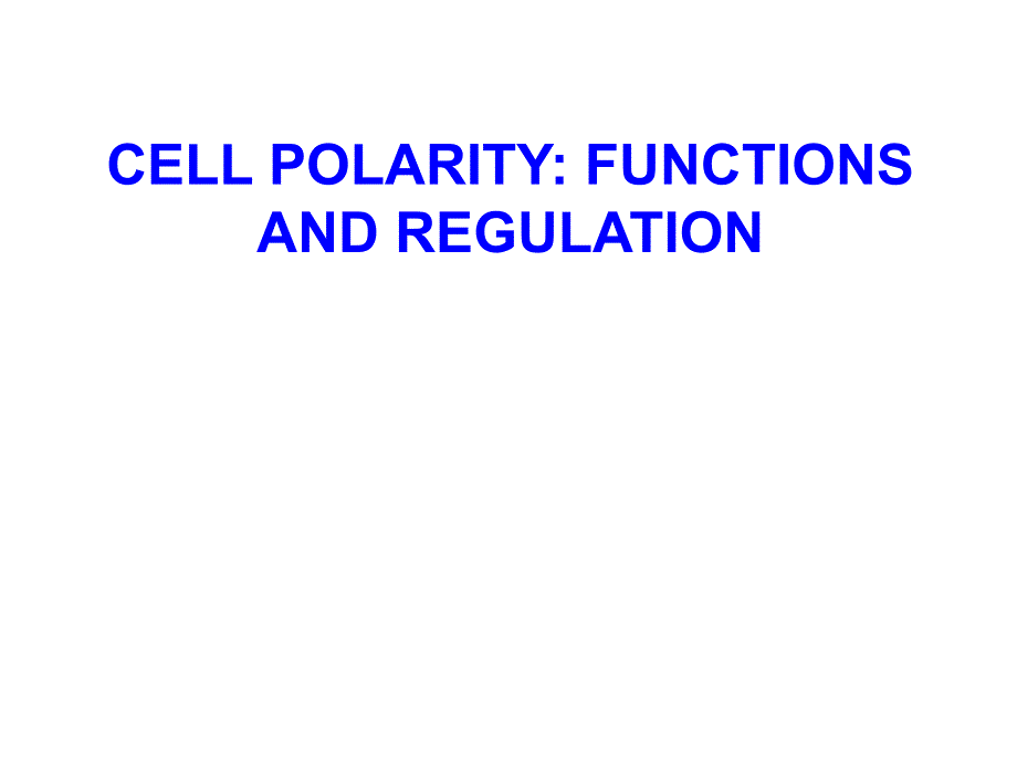 植物生理与分子生物学：Lecture 1 Basics and apical polarity_第1页