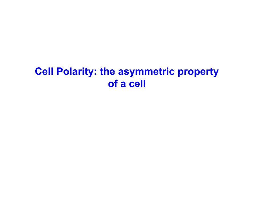 植物生理与分子生物学：Lecture 1 Basics and apical polarity_第3页